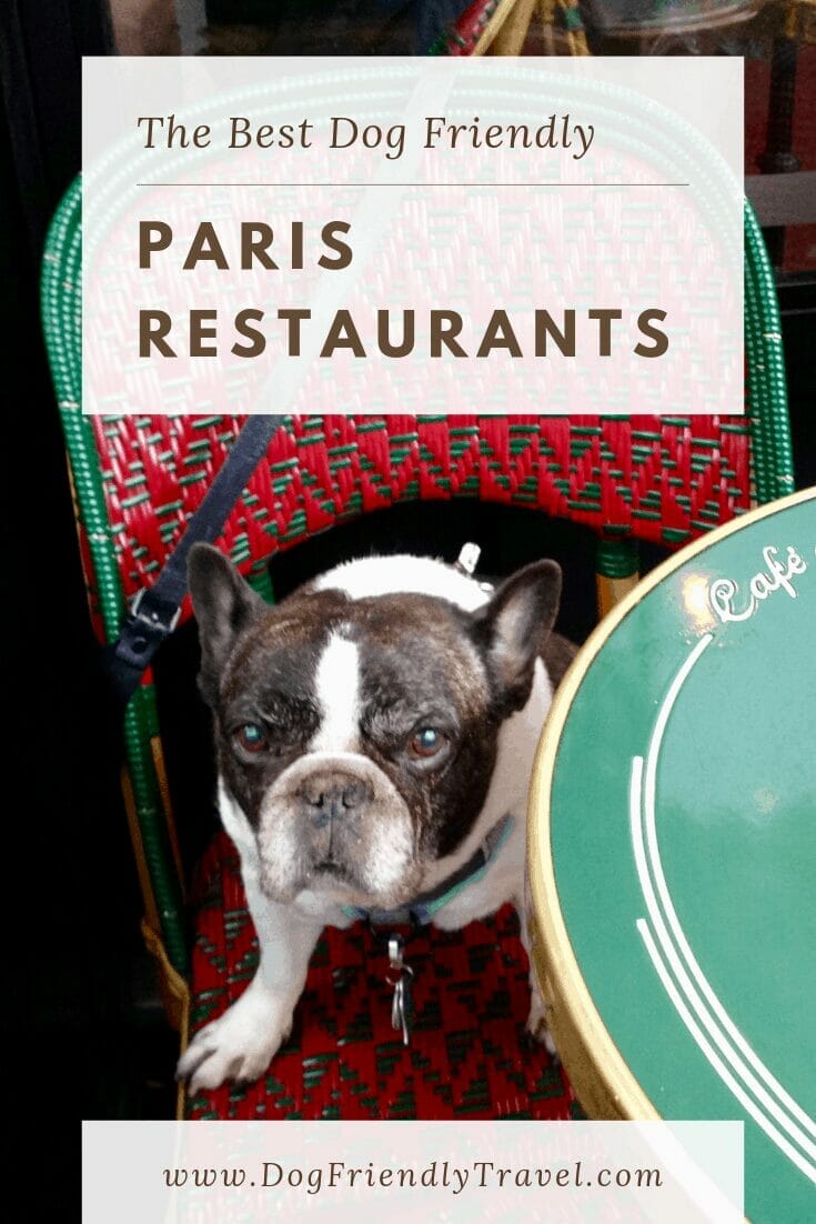 is paris dog friendly