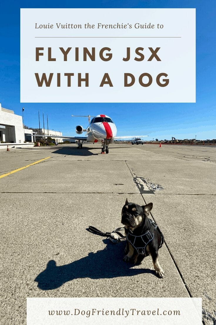 Flying JSX with a Dog