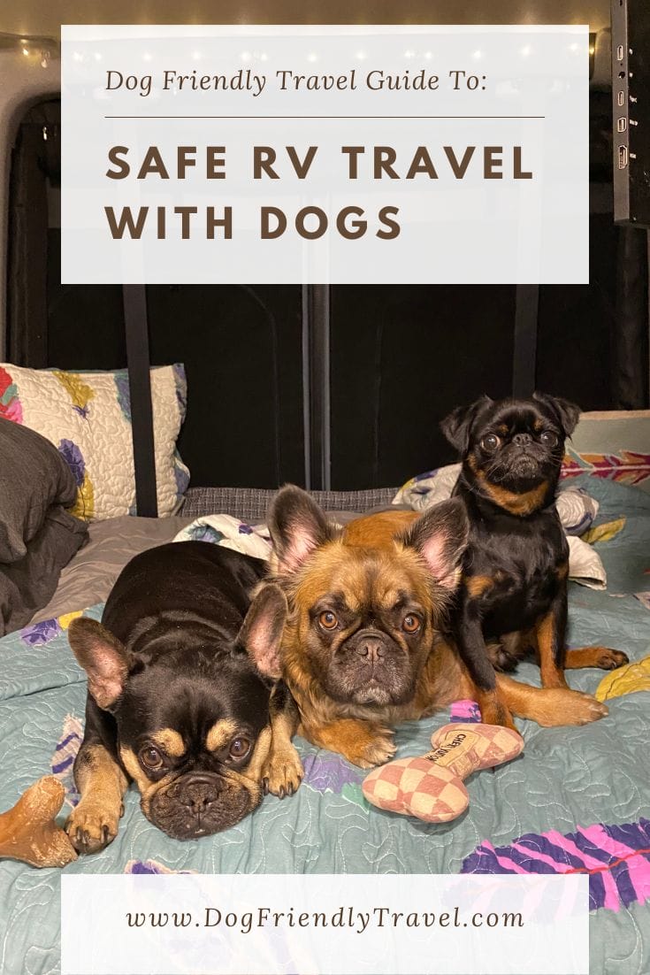 Our recommendations for safe RV travel with dogs. Best products to keep your #dog safe while traveling by #RV, #Motorhome, #Trailer, #Camper or #Van